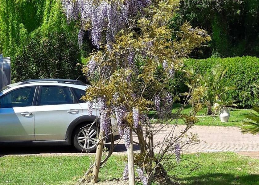 Marche Gradara garden