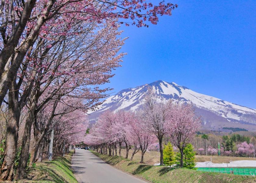 Aomori Hirosaki Outdoors