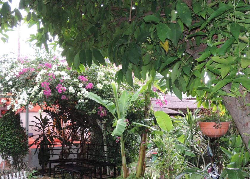 Phuket Province Rawai 