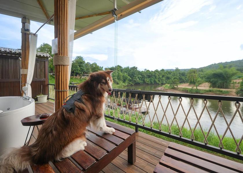 Kanchanaburi Province Sai Yok 