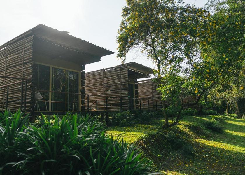 surrounding environment