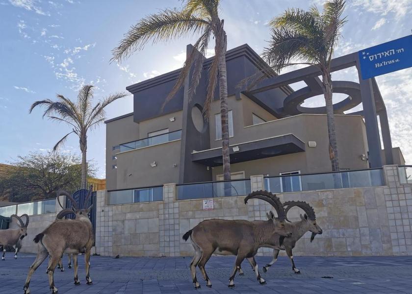 Southern Ramat Negev 