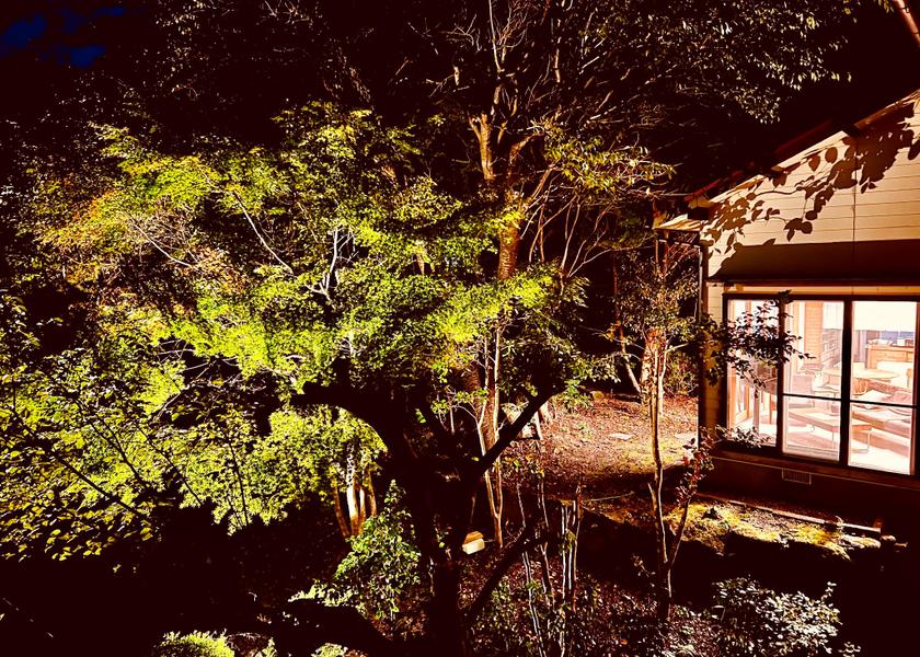 Oita Yufu View