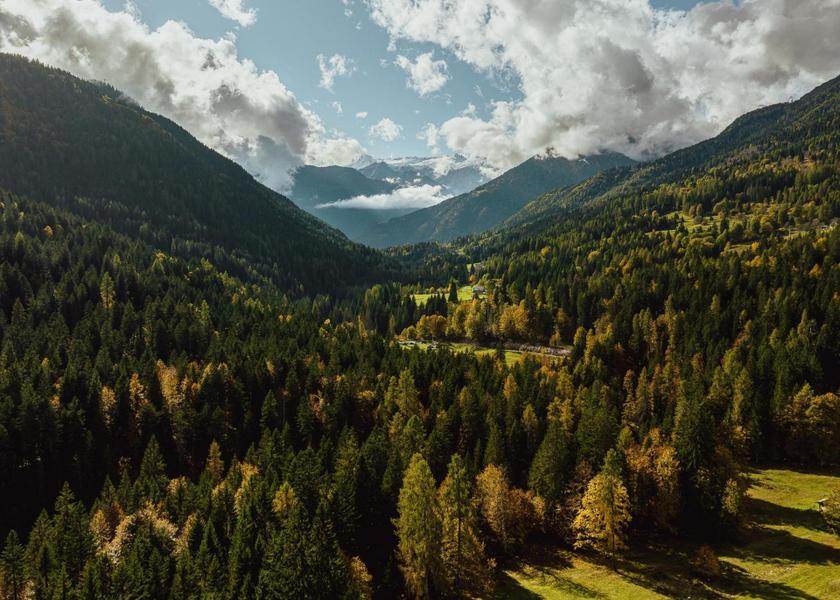 Trentino-Alto Adige Pinzolo surrounding environment