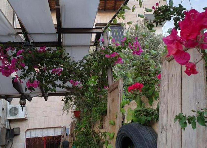 Madaba Governorate Madaba Garden