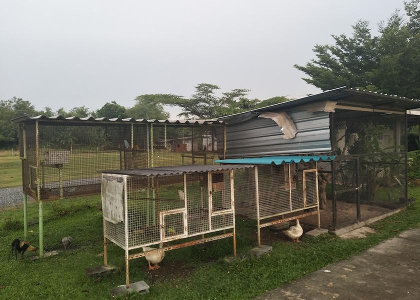Chonburi Province Phanat Nikhom Property grounds