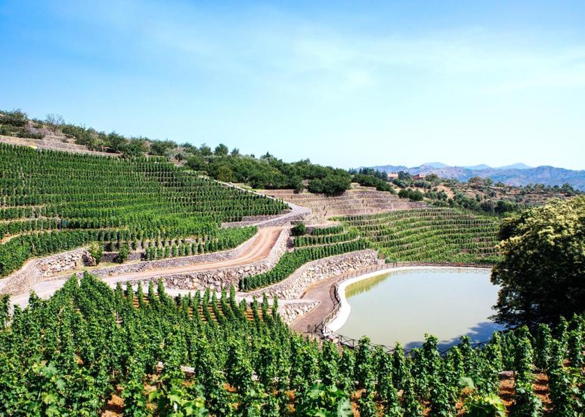 Sicily Mascali garden