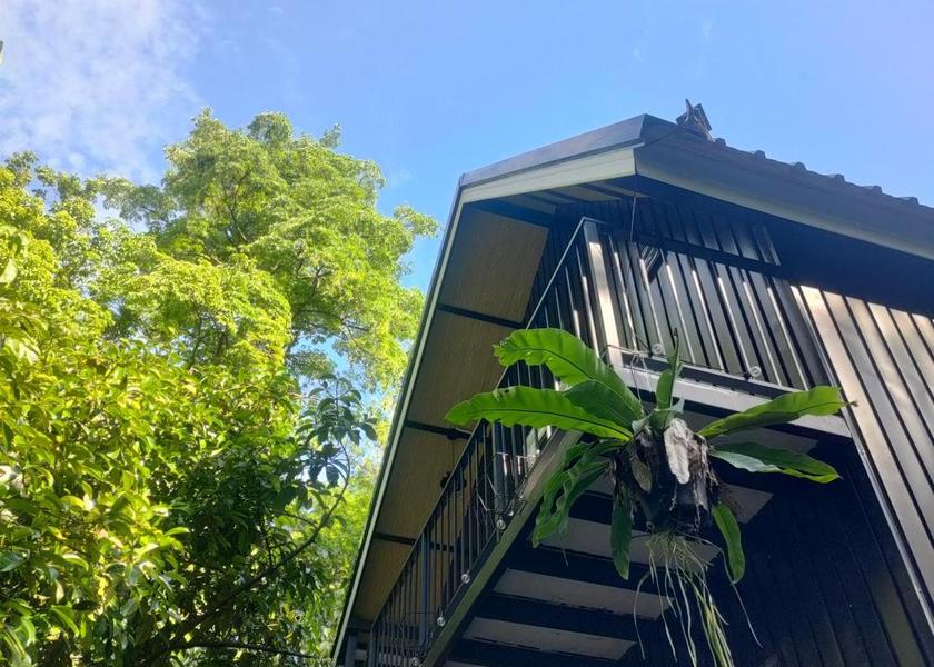 Nakhon Si Thammarat Province Phrom Khiri 