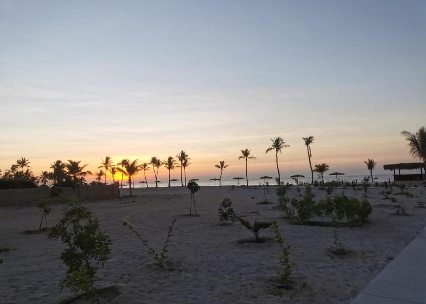 Dhofar Governorate Salalah 