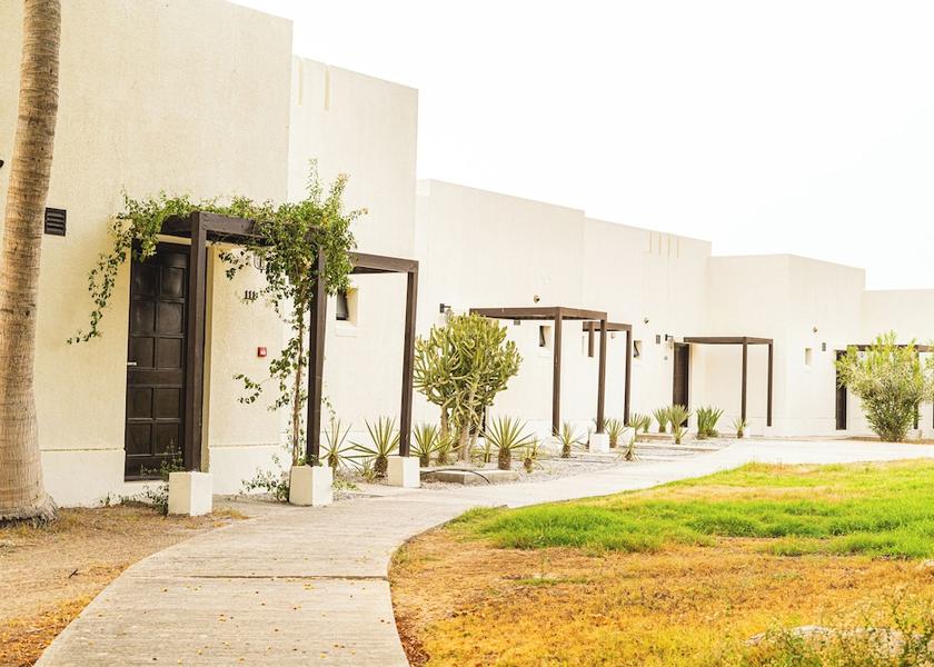 Al Batinah South Governorate Barka Room