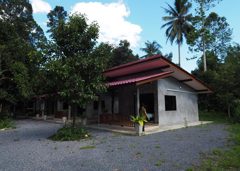 surrounding environment