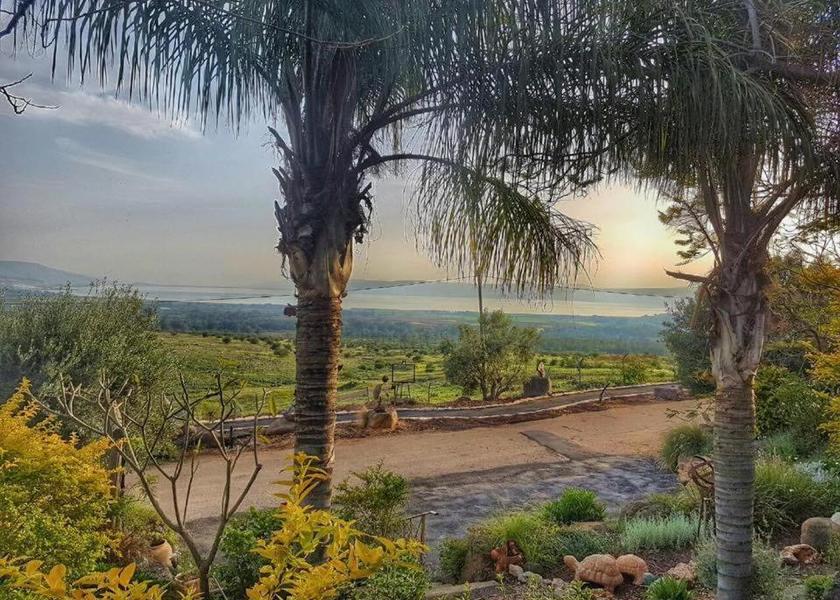 surrounding environment