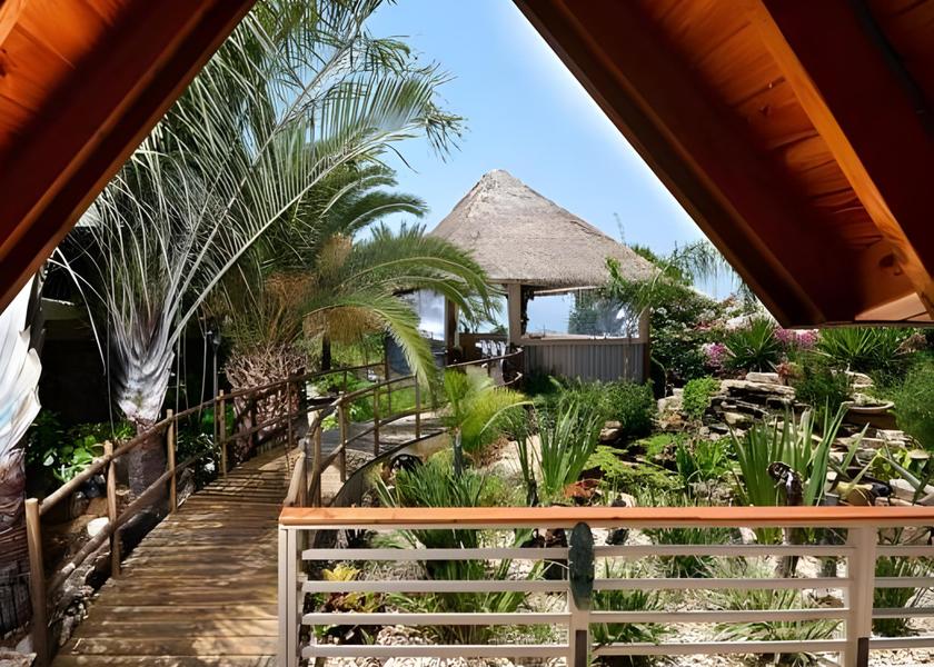 Surrounding environment