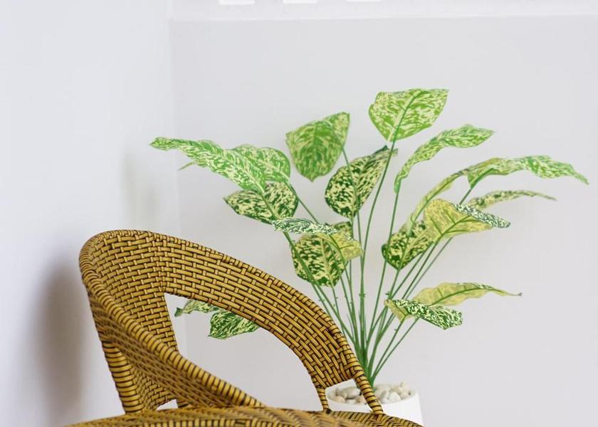 Phetchaburi Phetchaburi balcony/terrace