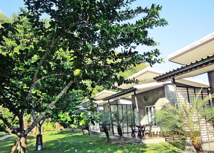 Satun Province Satun interior view