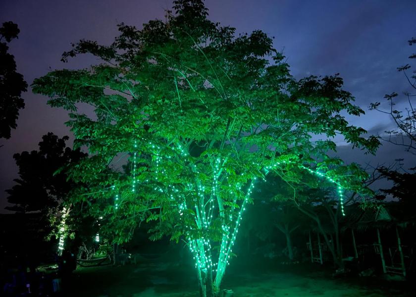 Prachuap Khiri Khan Province Sam Roi Yot 