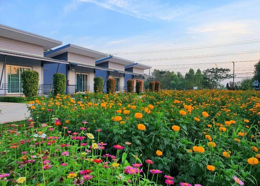 Nong Khai Nong Khai garden