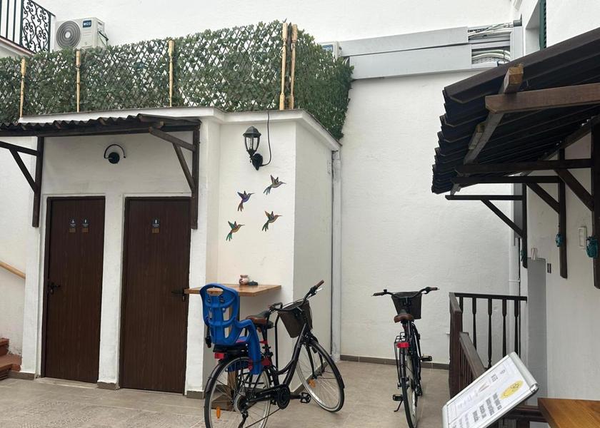 sports and activities