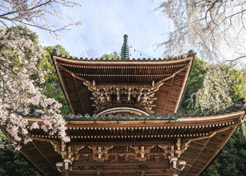 Nara Yoshino 