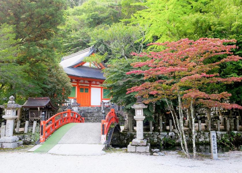 Nara Tenkawa 