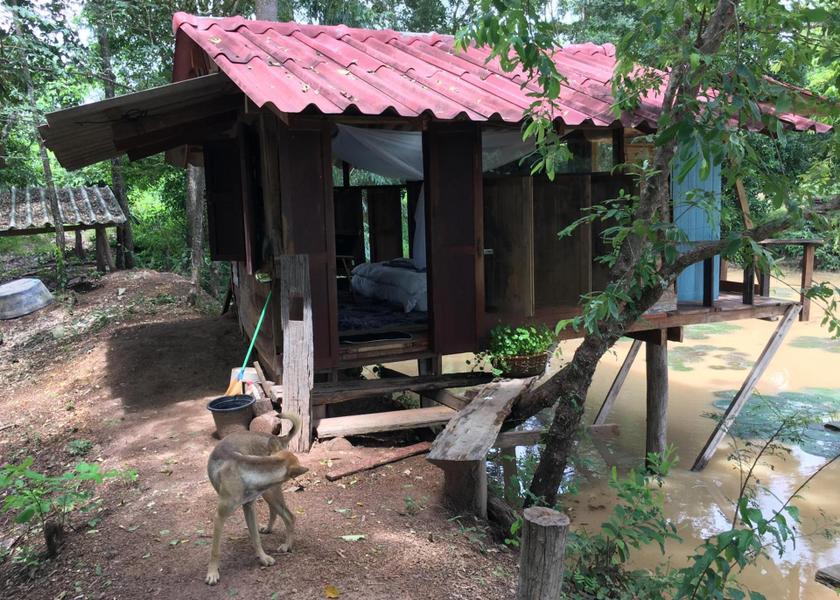 Phayao Phayao surrounding environment