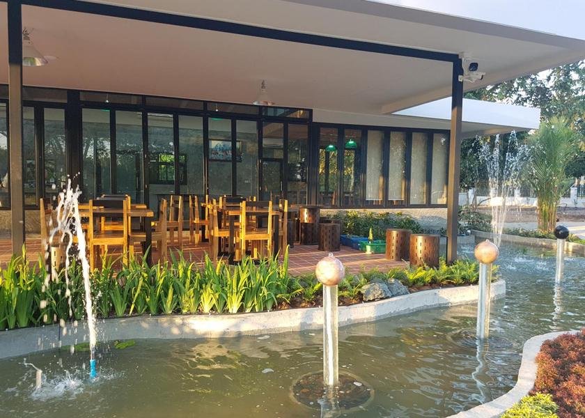 Phayao Phayao food and beverages