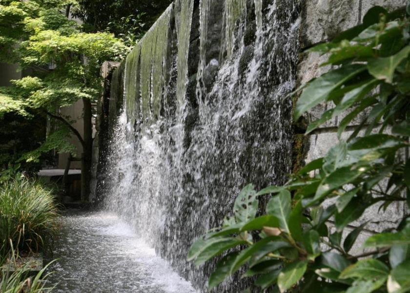 Fukuoka Kurume 