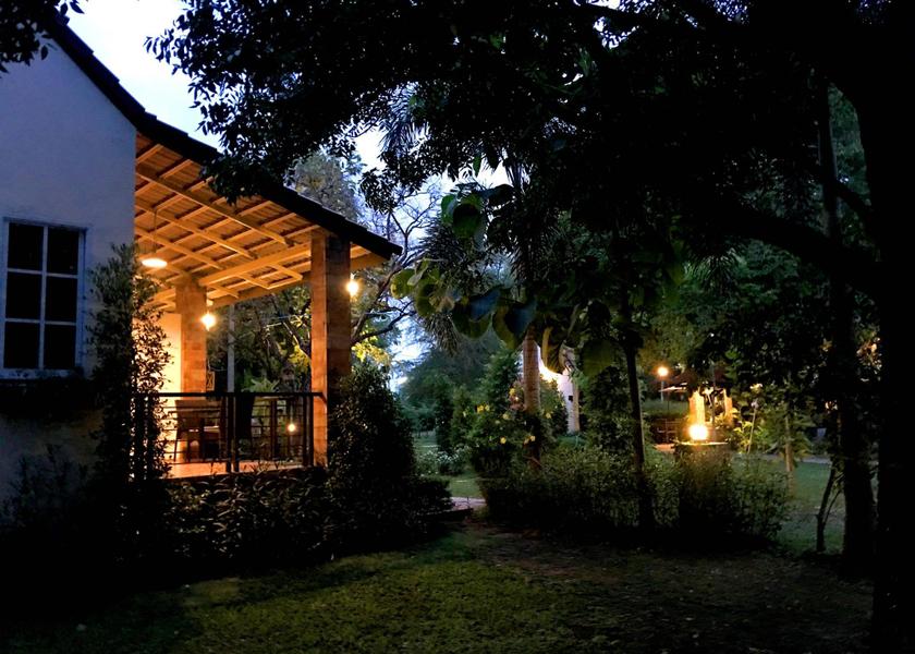 surrounding environment