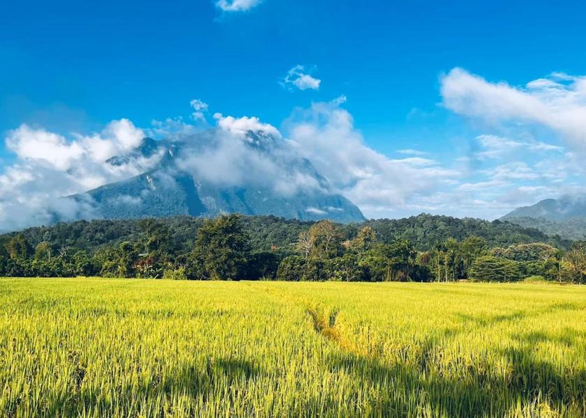 Chiang Mai Province Chiang Dao view