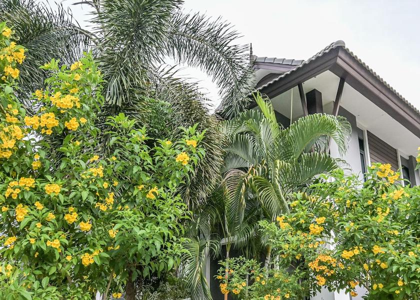 Ubon Ratchathani Province Khong Chiam Garden