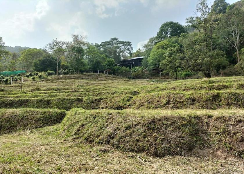 Chiang Mai Province Mae Ai surrounding environment