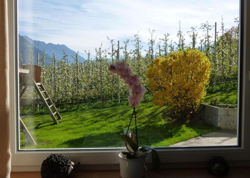 Trentino-Alto Adige Naturno garden