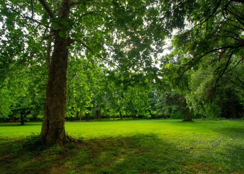 Lombardy Nerviano view