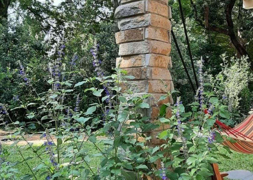 Northern HaGalil HaElyon garden
