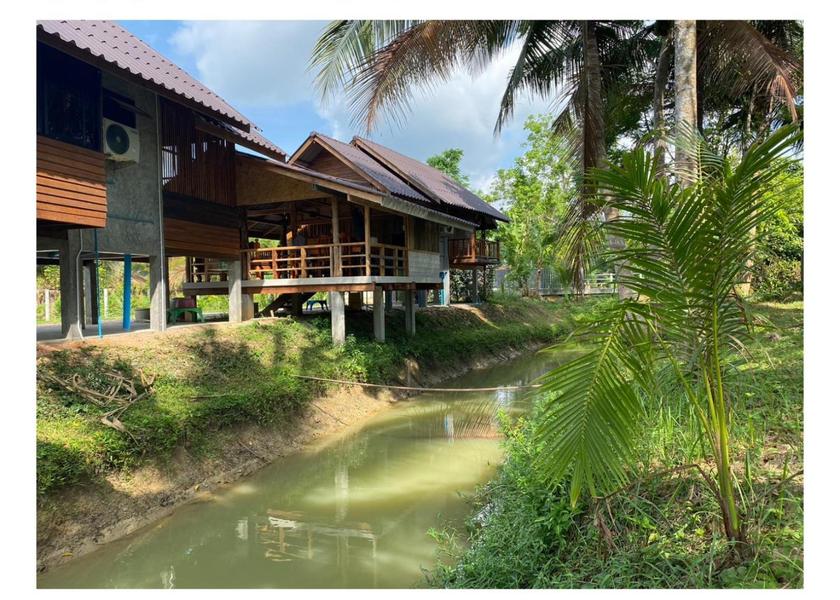 surrounding environment