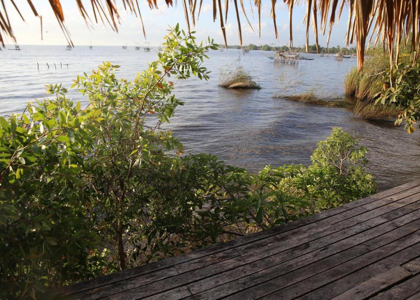 surrounding environment