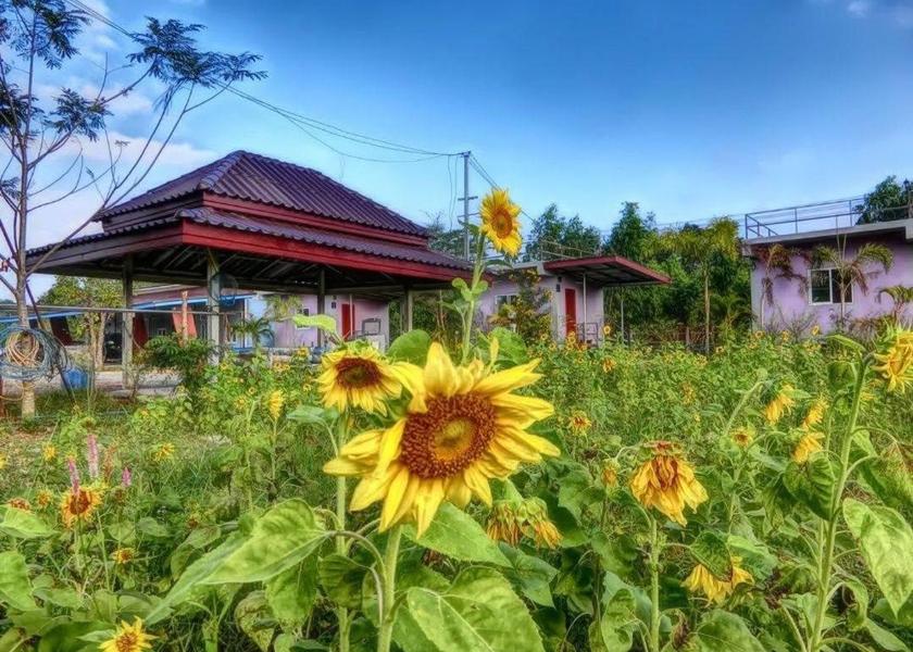 Sa Kaeo Province Sa Kaeo 