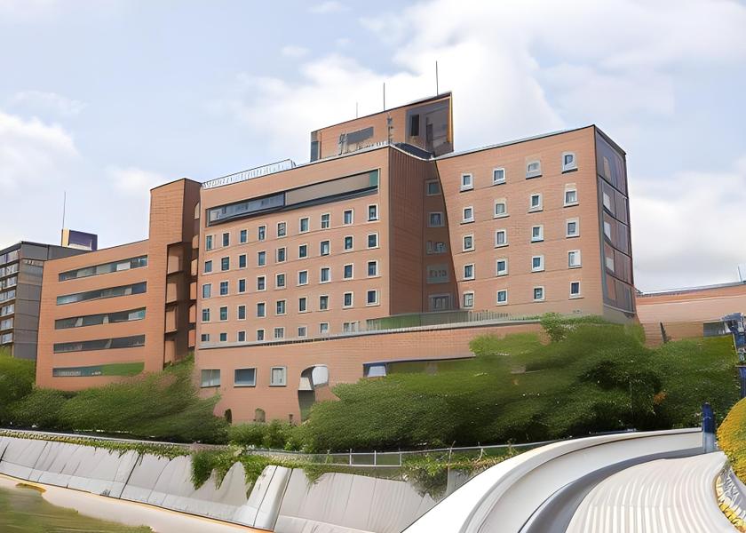 Hyogo Takarazuka 