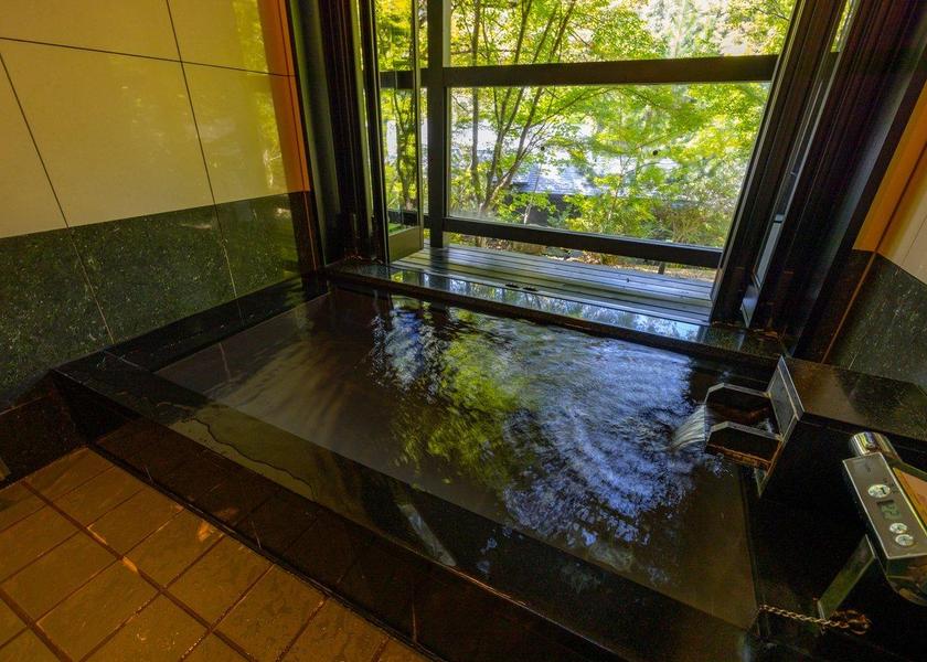 Hyogo Takarazuka Public Areas