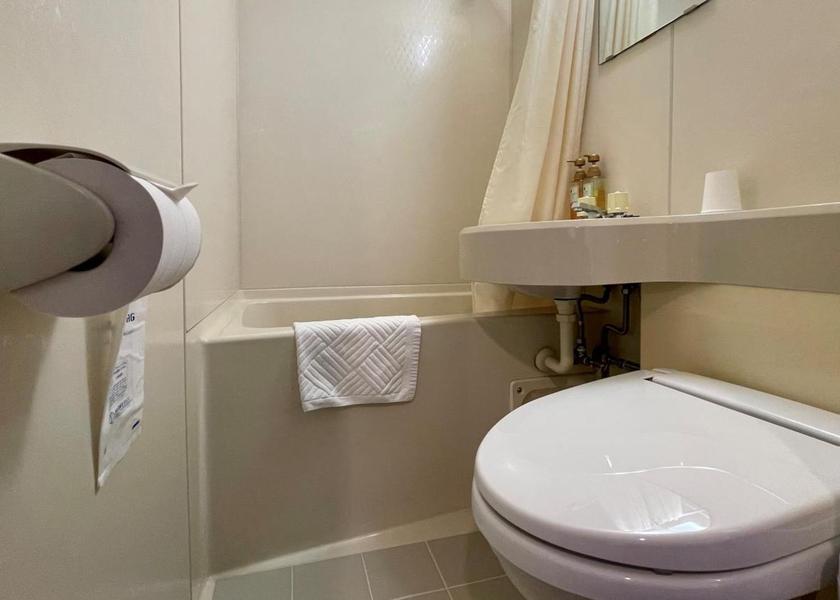 Ibaraki Hitachi Standard Single Room