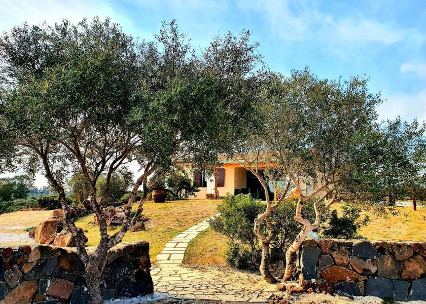 Sardinia Orosei garden