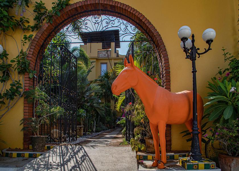 Oaxaca Puerto Escondido 