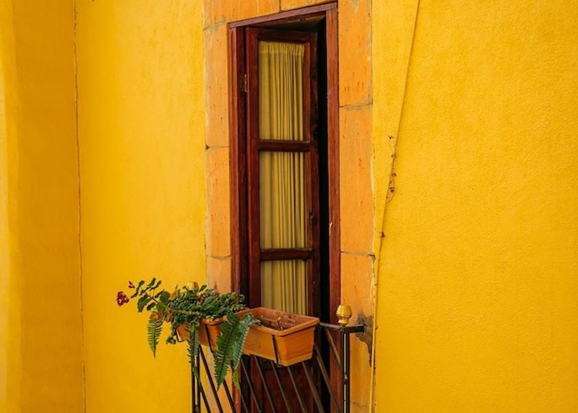Zacatecas Zacatecas Room