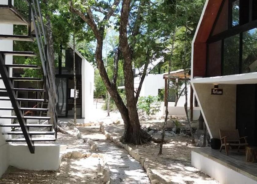 Quintana Roo Francisco Uh May 