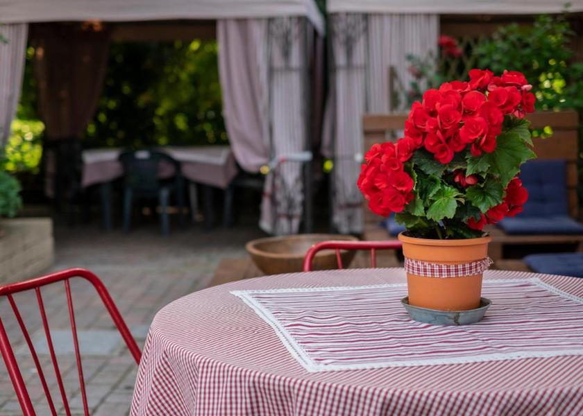 Veneto Pescantina garden