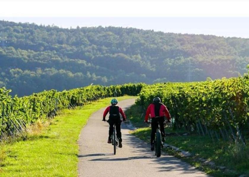 Veneto Pescantina sports and activities