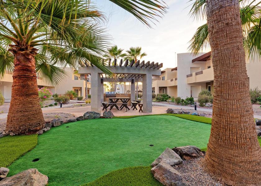 Sonora Puerto Peñasco garden