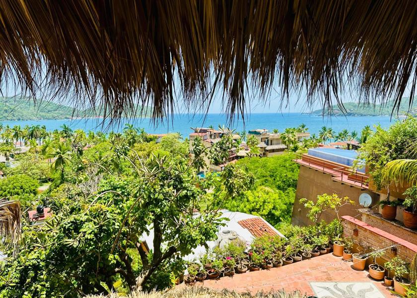 Guerrero Zihuatanejo 