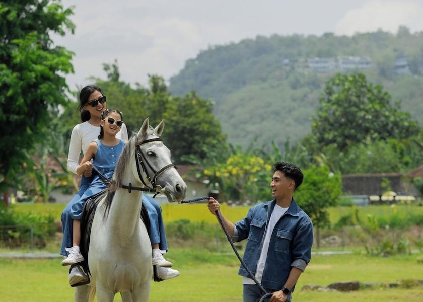 Special Region of Yogyakarta Prambanan Horseback riding