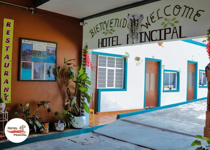 Veracruz Coatepec 